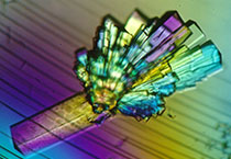 PD-1抑制剂成“抗癌神器”，国内外企业进展如何？