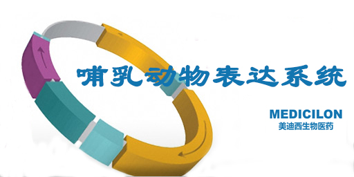 哺乳动物细胞表达系统特点、优势及研究现状