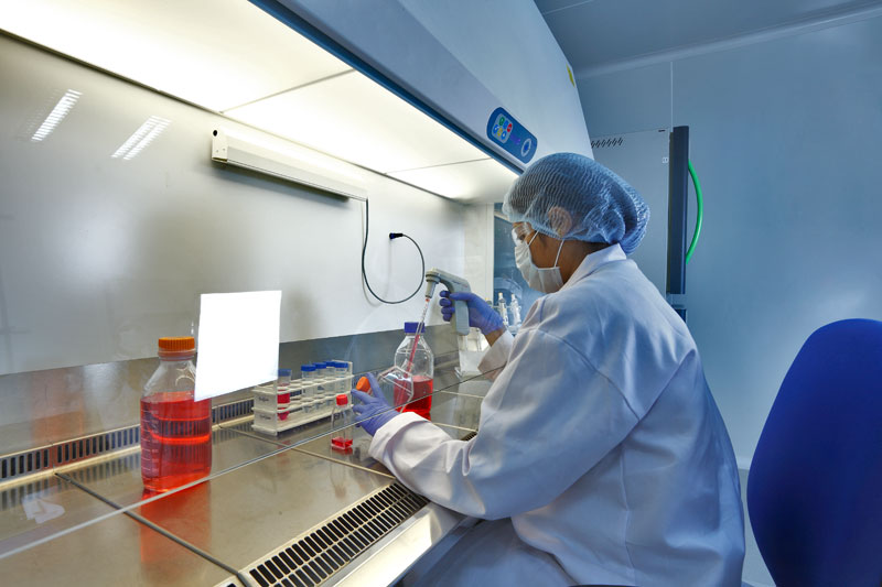 2015年度中国药品批准盘点：化药不批准率超20%，中药上市数量翻3倍