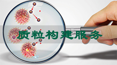 不朽情缘mg官网质粒构建服务
