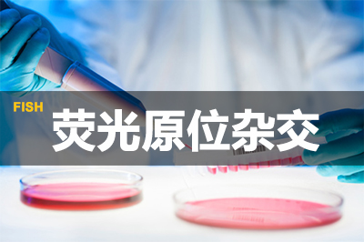 不朽情缘mg官网荧光原位杂交技术