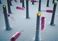 未来的药丸里，可能有一万亿个人工改造的细菌？