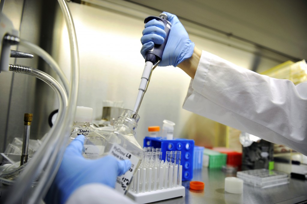 一致性评价需要遵循哪些技术指导原则以及技术要求？