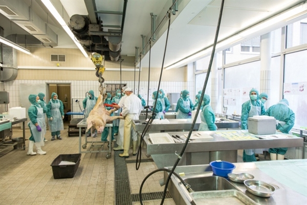 专利悬崖到来，骨质疏松症药物新药研发战况如何？