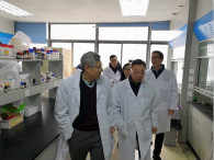 不朽情缘mg官网开展办公场所节前安全卫生大检查