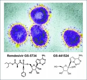 基于细胞因子风暴和免疫炎症反应综合征，很多免疫相关靶点也可以列为冠状病毒的靶点。