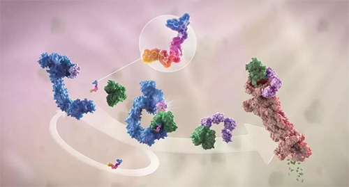 LYTAC出世，与PROTAC并肩作战针对不可成药的靶点