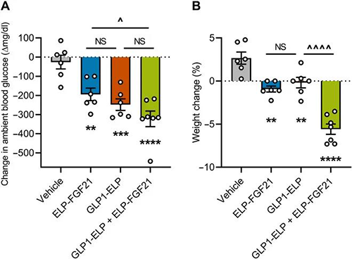 GLP-1和FGF21共同治疗增强了单药治疗的血糖降低和体重增加抑制作用 不朽情缘mg官网