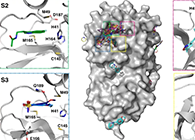 【Nature子刊】国际团队联合力量，加速基于COVID-19结构的药物设计！