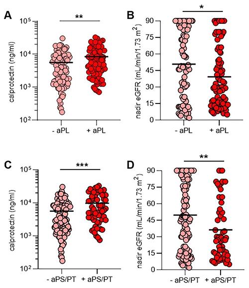 aPL抗体、NET释放和肾功能