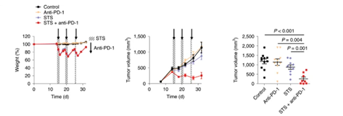 与对照组及仅使用PD-1疗法的模型小鼠对比，采用短期饥饿配合PD-1疗法的393P细胞同源移植肿瘤小鼠体内的肿瘤体积有了明显的收缩。