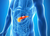Science：“癌王”胰腺癌终于出现了治疗新曙光