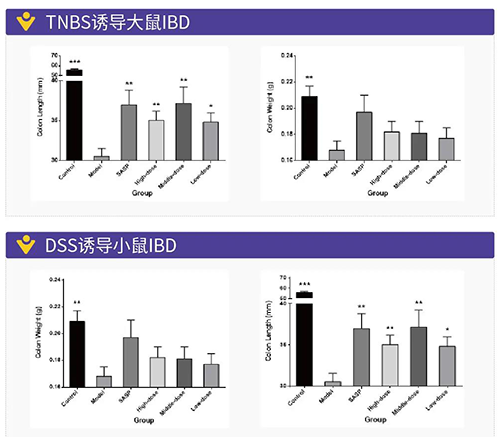 TNBS诱导的大鼠IBD、DSS诱导的大鼠IBD