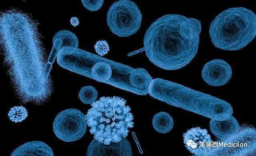 20分钟，大多数细菌都可以繁衍一代 不朽情缘mg官网生物医药