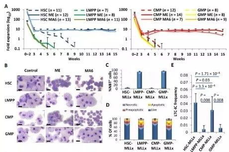 Science子刊：一种FDA批准的抗腹泻药物可有效对抗化疗的耐药性 不朽情缘mg官网生物医药