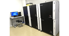 小动物视频分析系统