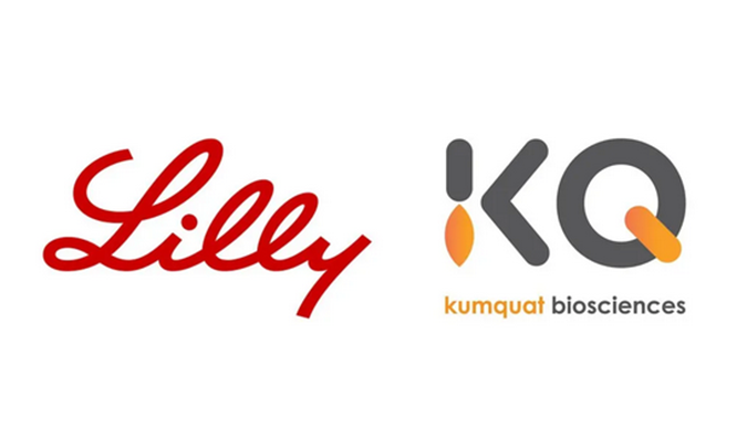 ：兀〔恍嗲樵祄g官网合作伙伴Kumquat Biosciences与礼来达成合作，共同开发肿瘤免疫小分子药