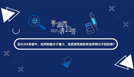 在ELISA实验，如何制备分子量小、免疫原性弱的多肽药物分子的抗体？