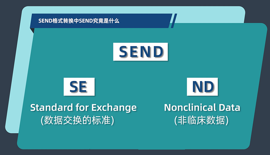 SEND格式转换中的SEND究竟是什么？