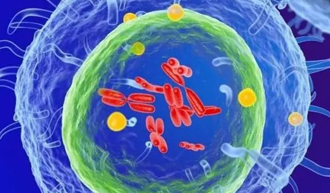  不朽情缘mg官网助力 | 信诺维抗肿瘤1类新药XNW14010获批临床.png