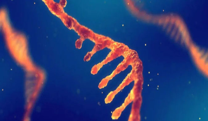 赋能核酸药物疗法，迎接新药研发第三次浪潮