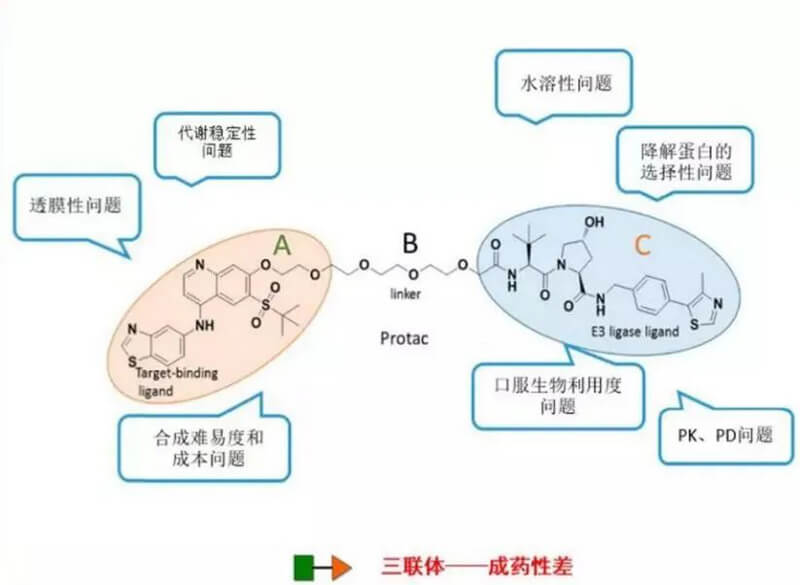 PROTAC分子量较大，溶解性较差.jpg