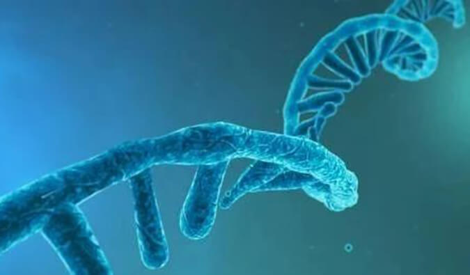 美研丨寡核苷酸药物市场前景、发展挑战及应对策略