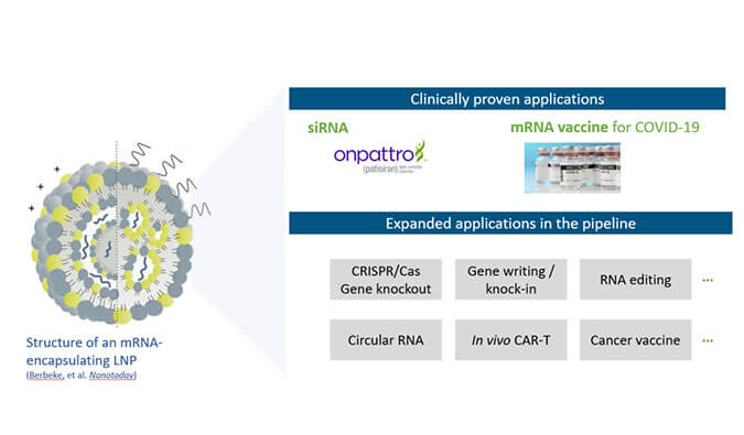 【专家报告】张翼博士：阳离子脂质高通量定制化筛选