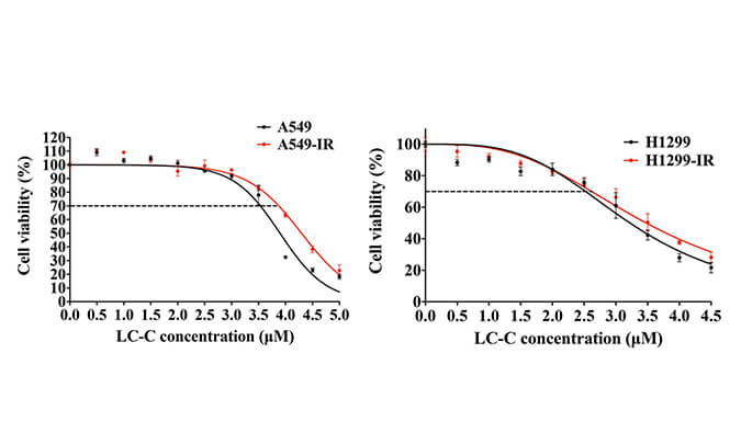 放射疗法用作肺癌的主要治疗方法，本研究中建立抗电离辐射肺癌细胞系的放射治疗通过不朽情缘mg官网进行