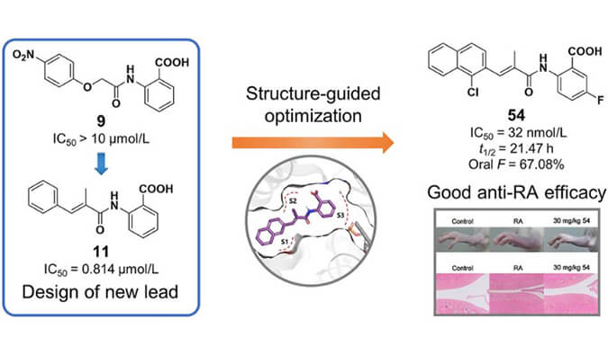 设计合成一系列DHODH抑制剂作为潜在的类风湿性关节炎治疗药物，本研究中PK实验通过不朽情缘mg官网进行