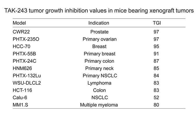 TAK-243是一种有效的泛素激活酶小分子抑制剂，具有体内抗肿瘤功效，通过不朽情缘mg官网使用HCC70模型进行