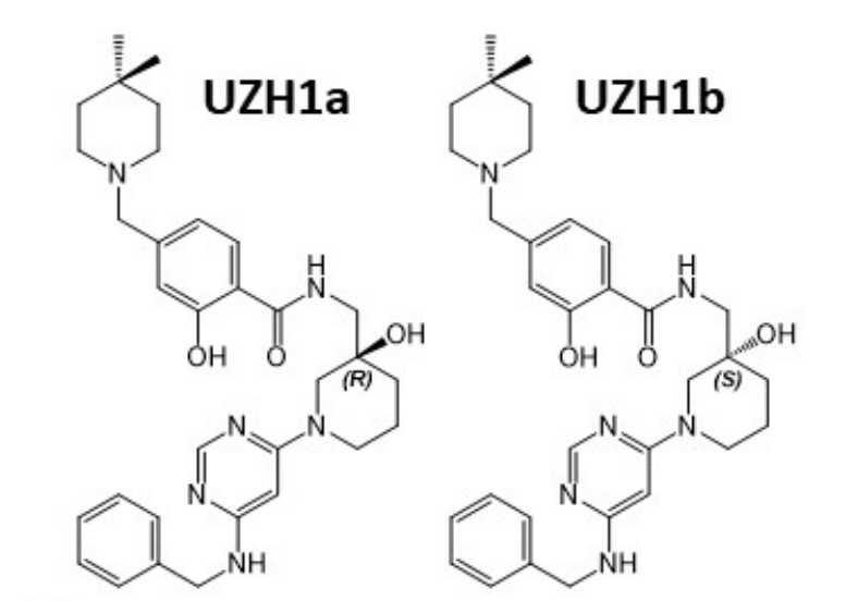 研究人员报告了一种具有细胞渗透性的选择性METTL3纳摩尔抑制剂UZH1a，作者感谢不朽情缘mg官网合成了UZH1a和UZH1b