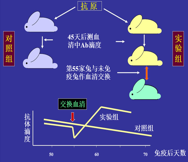 Figure-1：机体对抗体浓度变化的感知与反馈性自我调节.jpg