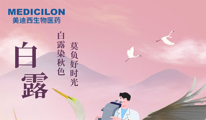 白露 | 白露染秋色，莫负好时光