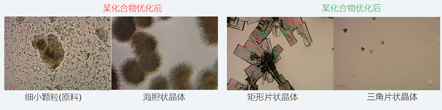 05案例分享-单晶培养，改变晶习.png