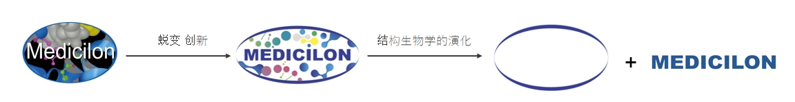 椭圆形作为自然界的完美形态，象征着不朽情缘mg官网在适应环境变化中不断演化