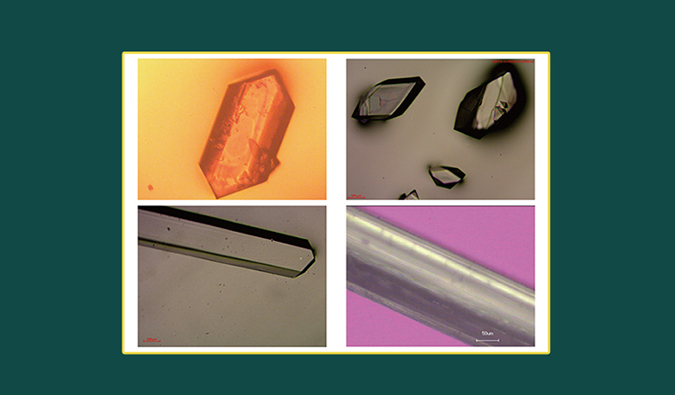 美研| CMC系列(十二)：单晶结构解析在药物开发中的应用和单晶培养哪些事儿