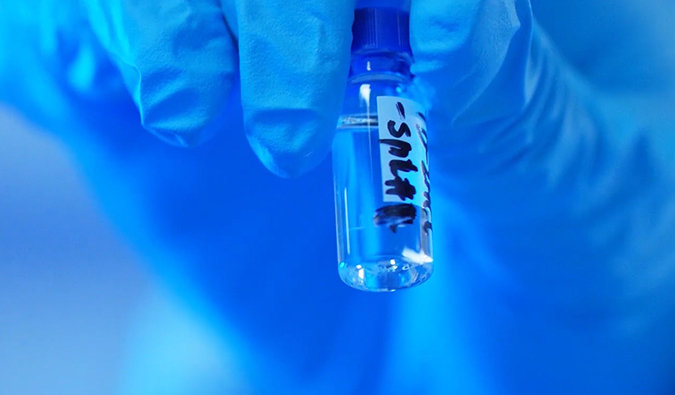 GLP-1“竞速赛”何以夺魁？