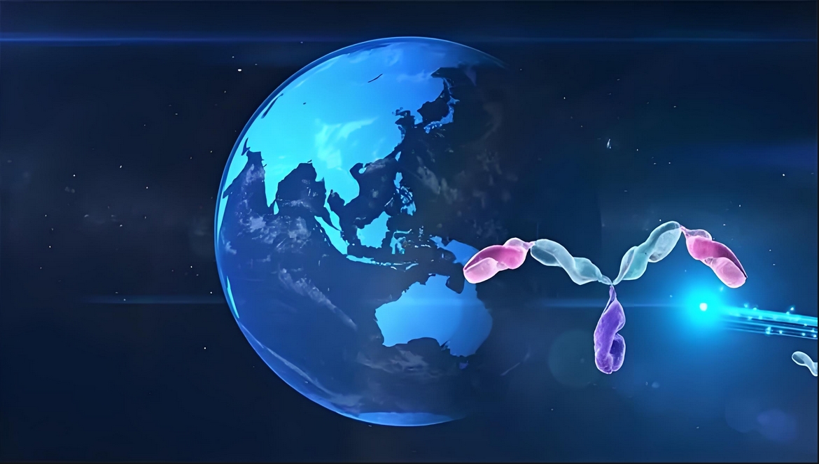 价值屡经验证！不朽情缘mg官网：睾献骰锇榘堵跎顱CMA×CD3双抗EMB-06授权出海
