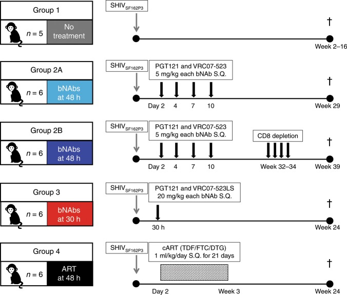 抗逆转录病毒疗法(ART)预防围产期HIV感染，本研究中多替拉韦钠盐和游离态均由不朽情缘mg官网提供